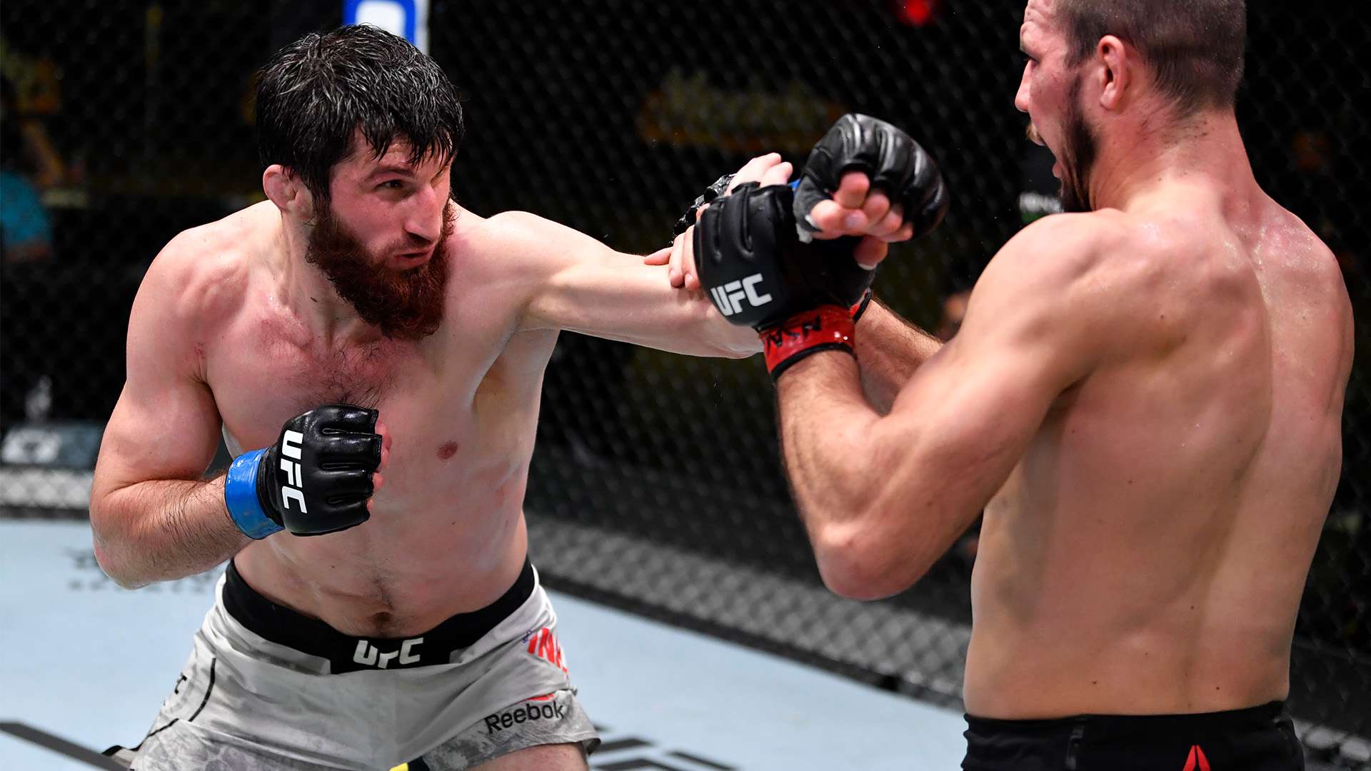 不仅培养出 不仅培养出